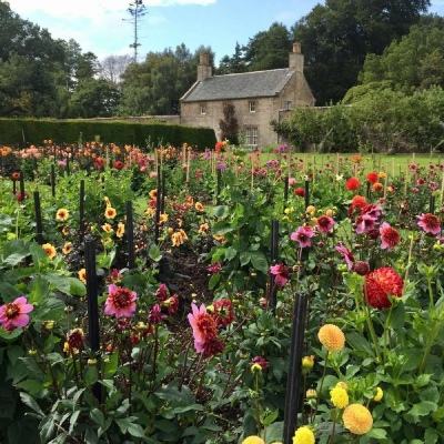 kaiyun·开云下载手机版