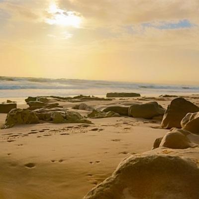 美高梅网址手机app下载