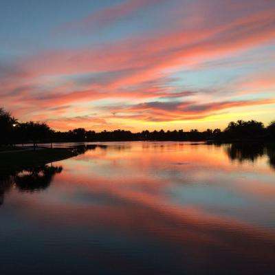 BOB·体育综合APP下载